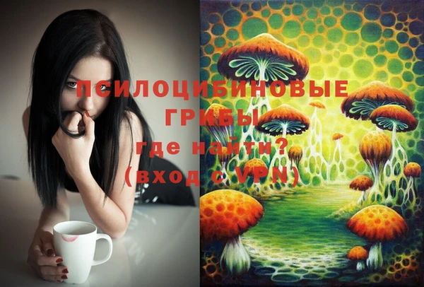 Альфа ПВП Баксан