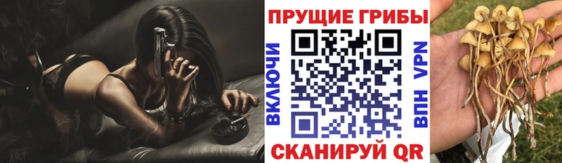 маркетплейс клад  дарнет шоп  Дюртюли  Псилоцибиновые грибы прущие грибы 